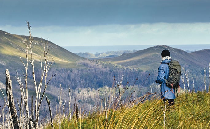 Female Hiker in rugged terrain with gloomy skies. Tarkine wilderness, Tasmania, Australia