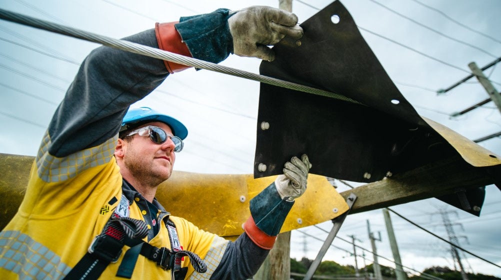 A student placing a safety mat on an overhead powerline