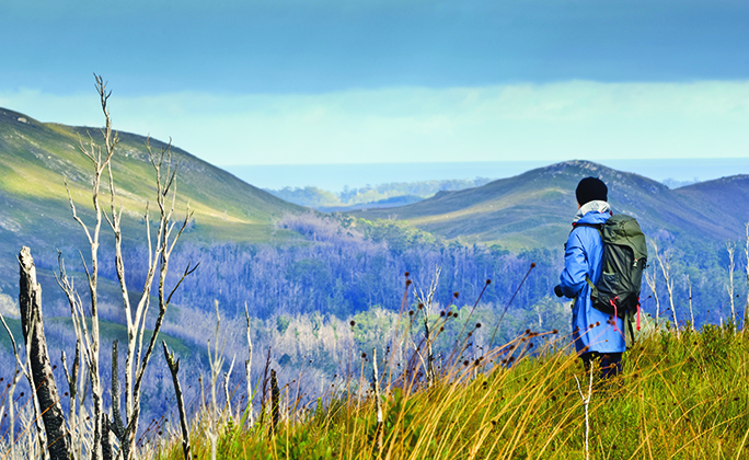 Female Hiker in rugged terrain with gloomy skies. Tarkine wilderness, Tasmania, Australia