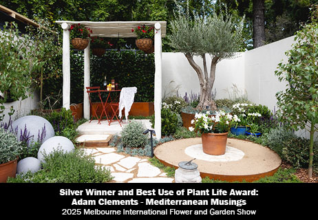 Monet's Garden
